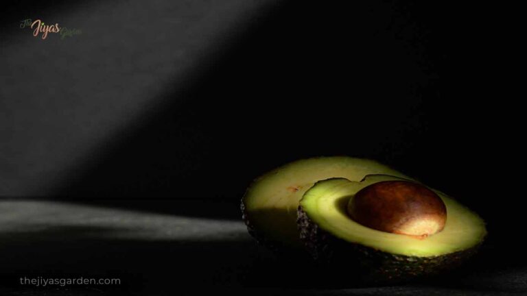 Revive Your Dead Avocado Seed with These Surprising Tricks