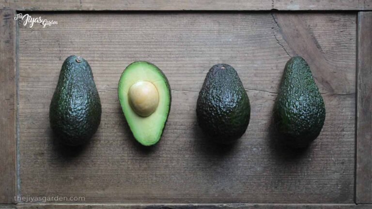 What is the Mystery of the Avocado Pit In Water Myth?